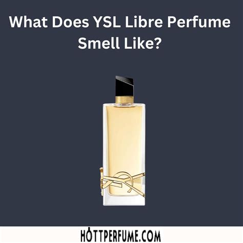 is ysl le parfum good|what does ysl smell like.